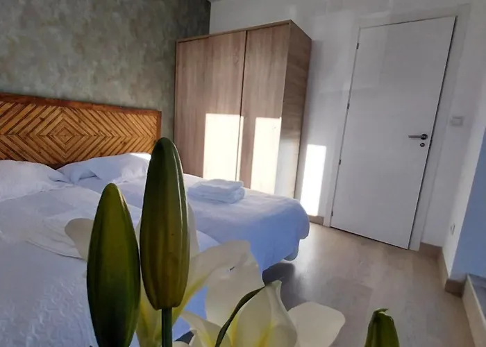 Lr Jardin Σπίτι διακοπών Béjar